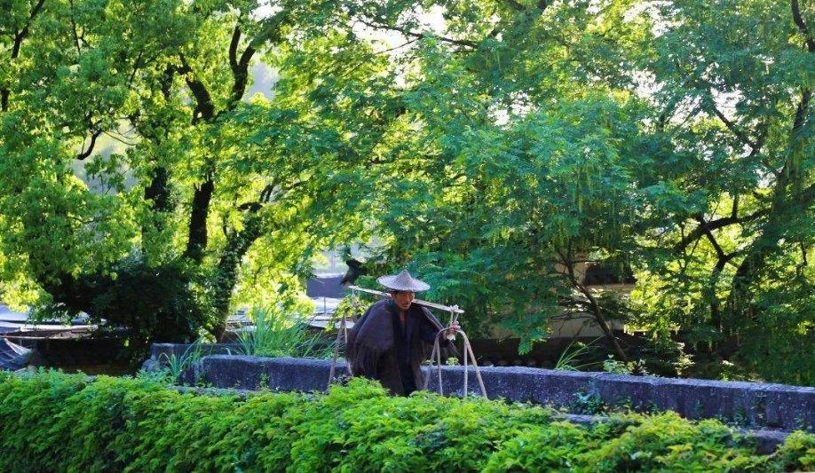 饥饿的哈利